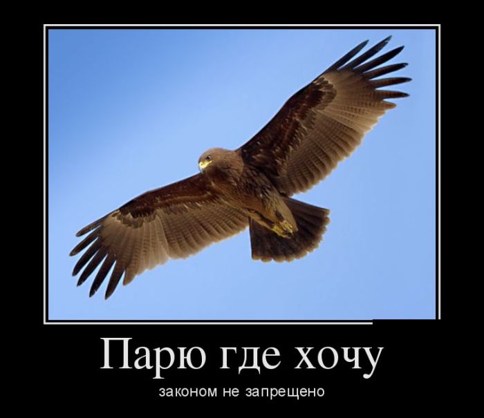 Демотиваторы. В добавку к массе остальных.