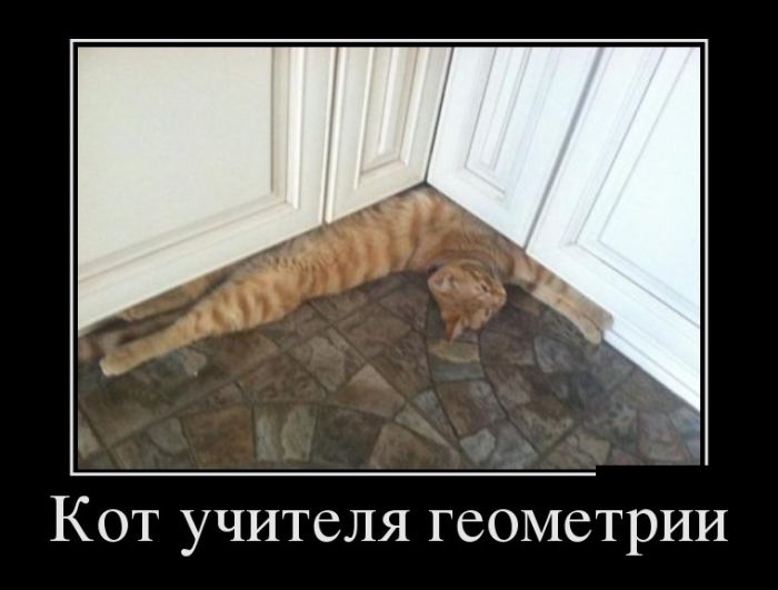 Демотиваторы новые и прикольные.