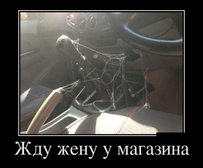 Демотиваторы дня, будет смешно.