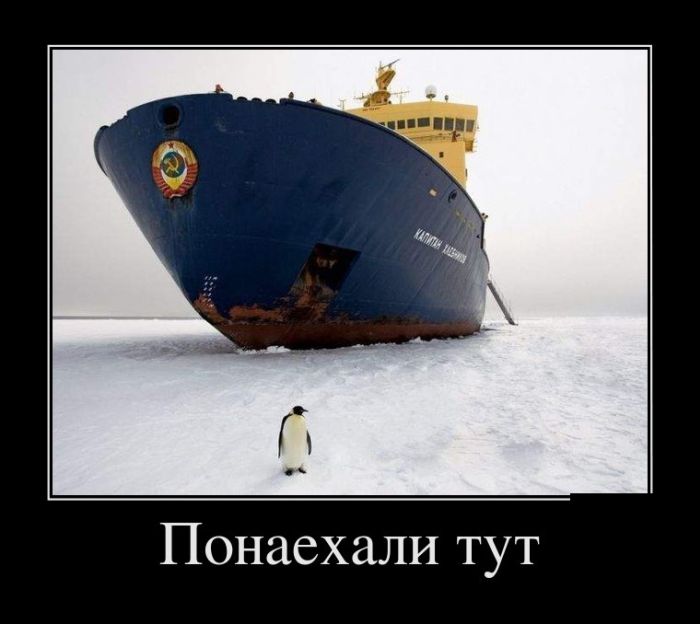 Веселые демотиваторы, столько в мире смешного.