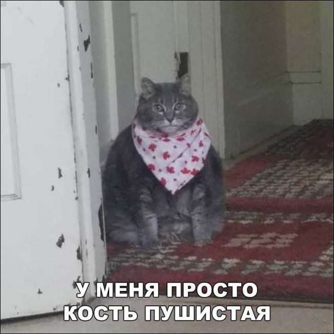 Прикольные картинки (30 фото)