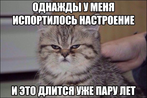 Подборка приколов, позитивная жизнь.
