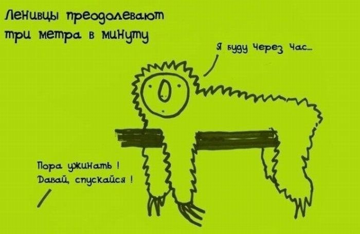 Интересные Факты, тема продолжается.