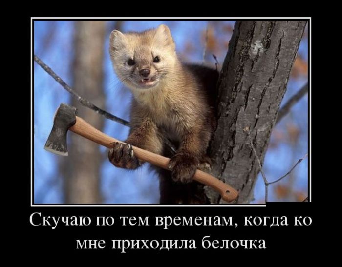 Ударим демотиватором по понедельнику