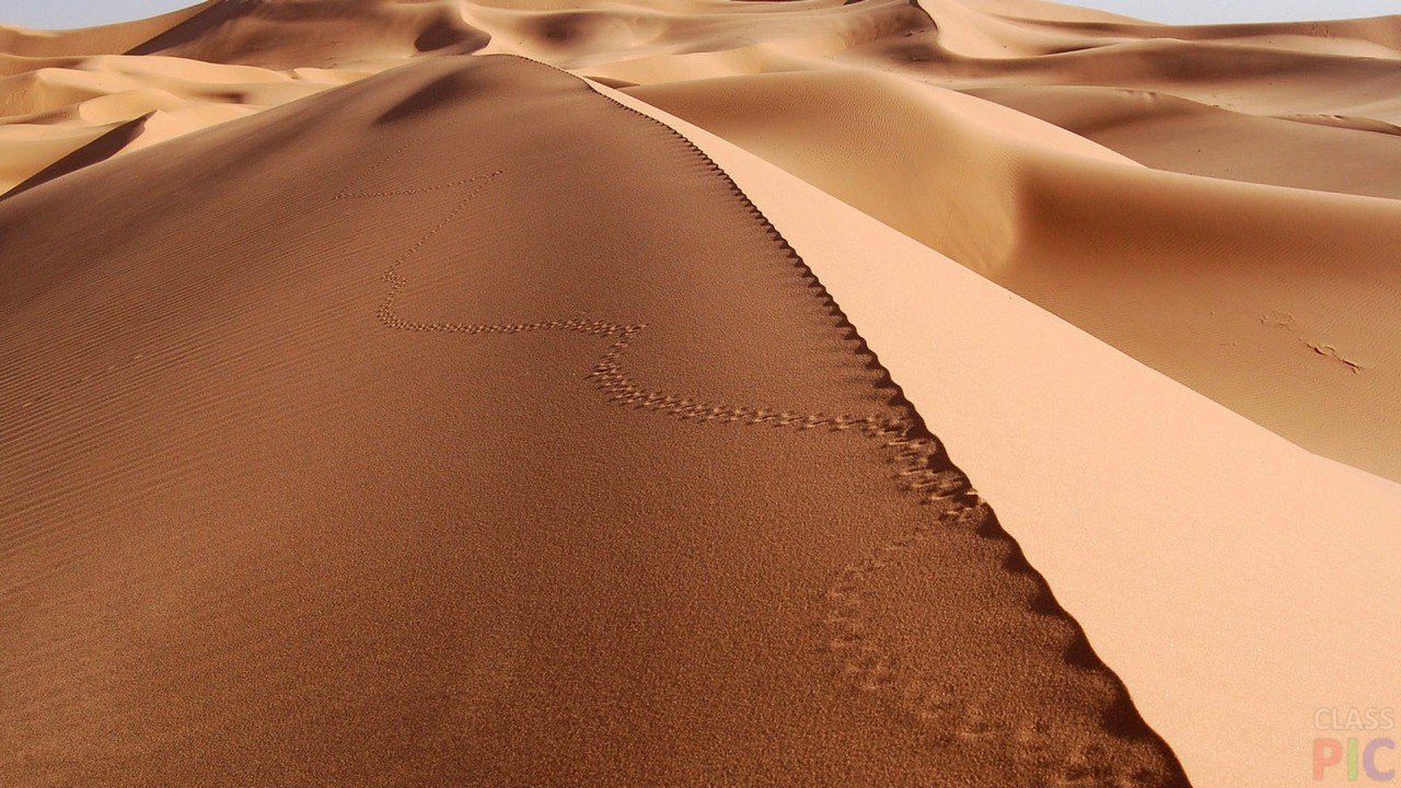 Красивые фотографии песка и дюн