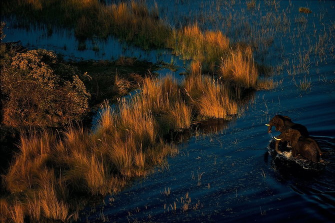 Мастер ви Yann Arthus-Bertrand