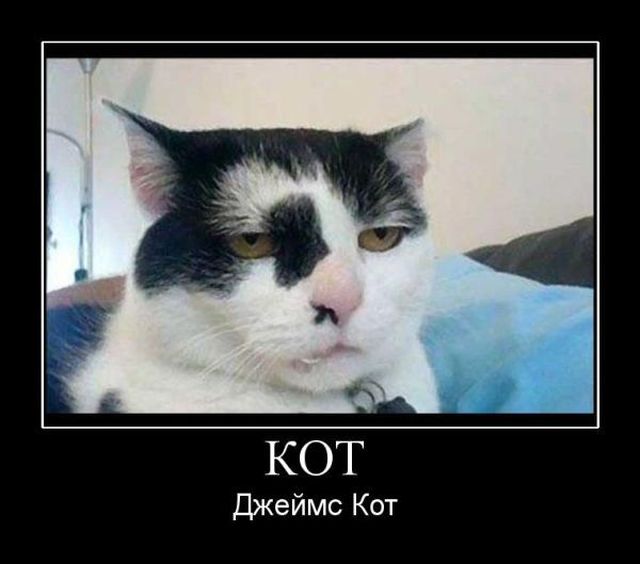 И снова демотиваторы.