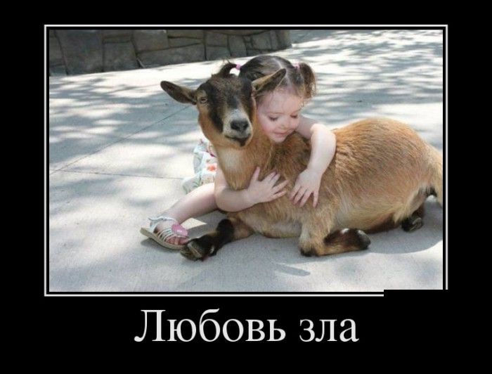 Убойные и прикольные демотиваторы.