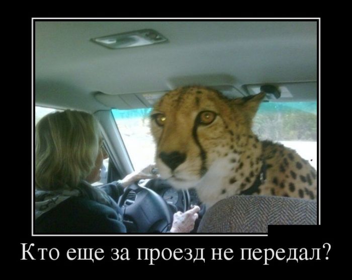 Демотиваторы со смыслом, приколы из жизни.