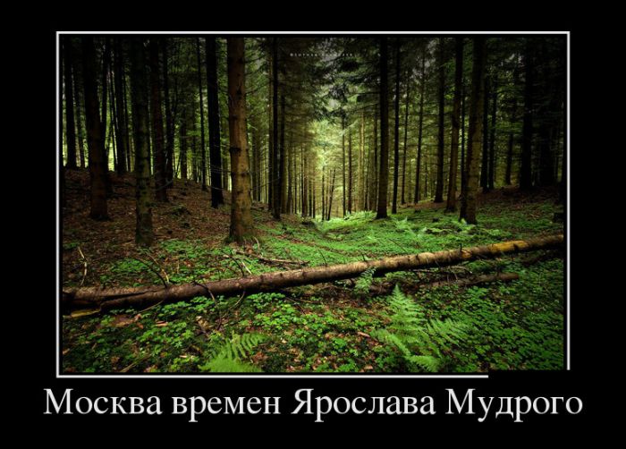 Демотиваторы, подборка новых и прикольных черных рамок.