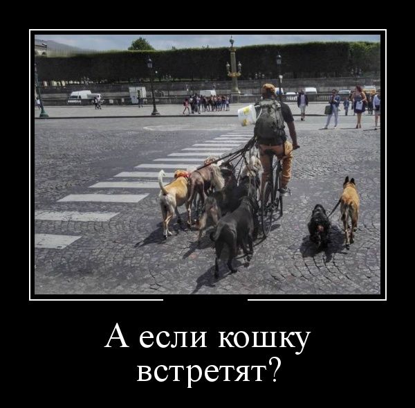 Прикольных демотиваторов давно не было.