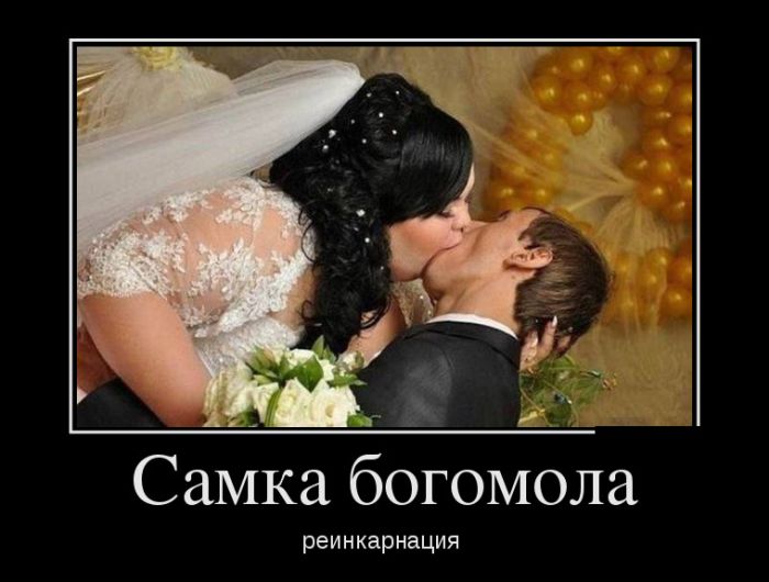 Демотиваторы смешные фото.