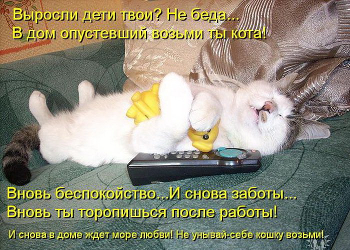 Спят усталые игрушки картинки прикольные, картинки про отпускников