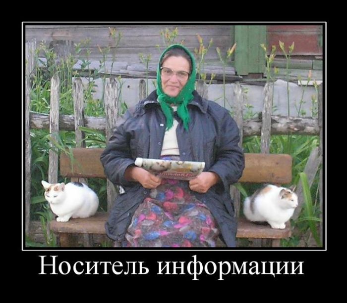 Самые смешные демотиваторы в подборке приколов.