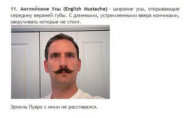 Борода и усы все разновидности