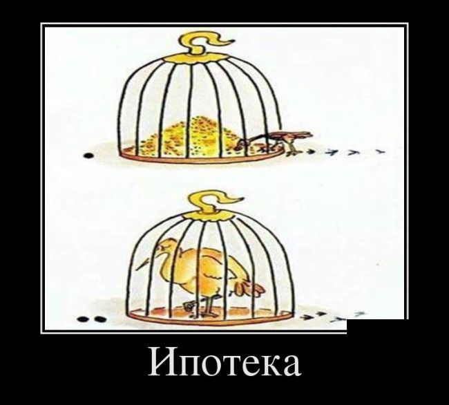 Демотиваторы и чашка крепкого кофе, вот что с утра нужно.