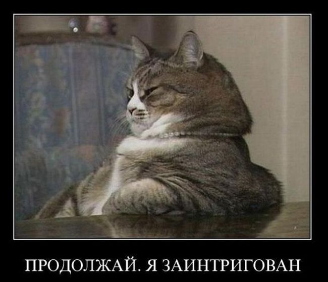 Демотиваторы веселенькие, для поднятия.