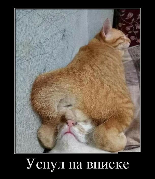 Демотиваторы, срочные приколы.