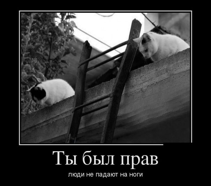 Новые демотиваторы смешные и со смыслом.