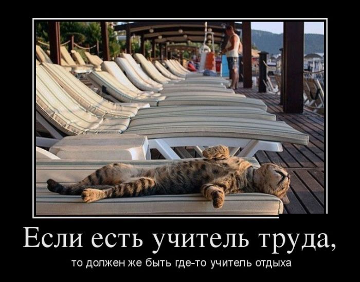 Демотиваторы фото с приколами.