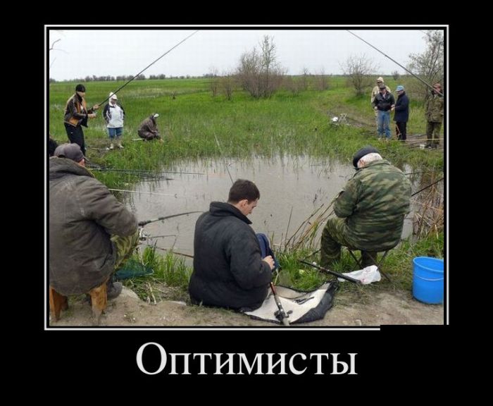 Демотиваторы приколы - залог отличного настроения!