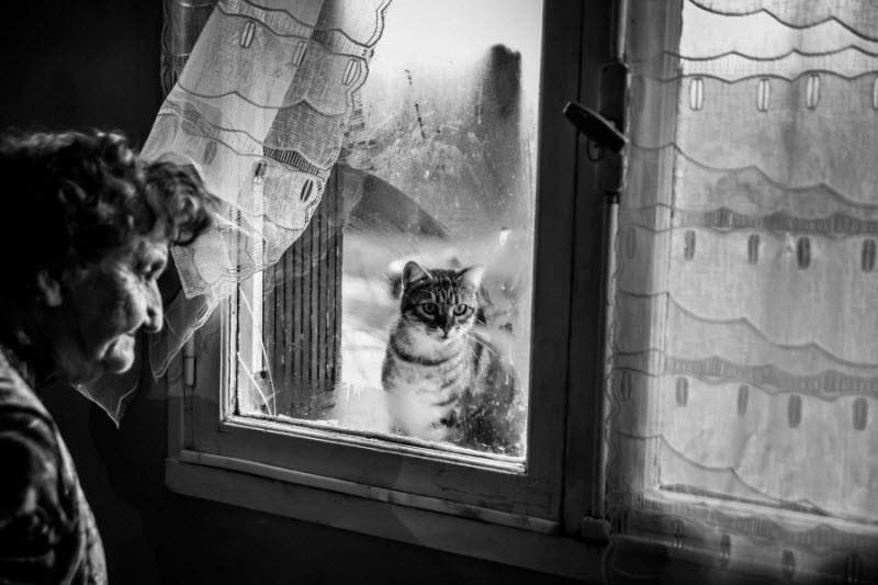 Профессиональные черно белые фотографии.