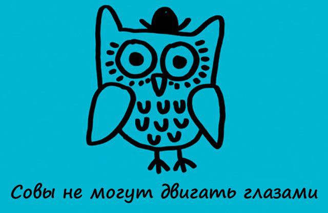 Интересные Факты.