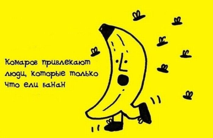 Интересные Факты, тема продолжается.