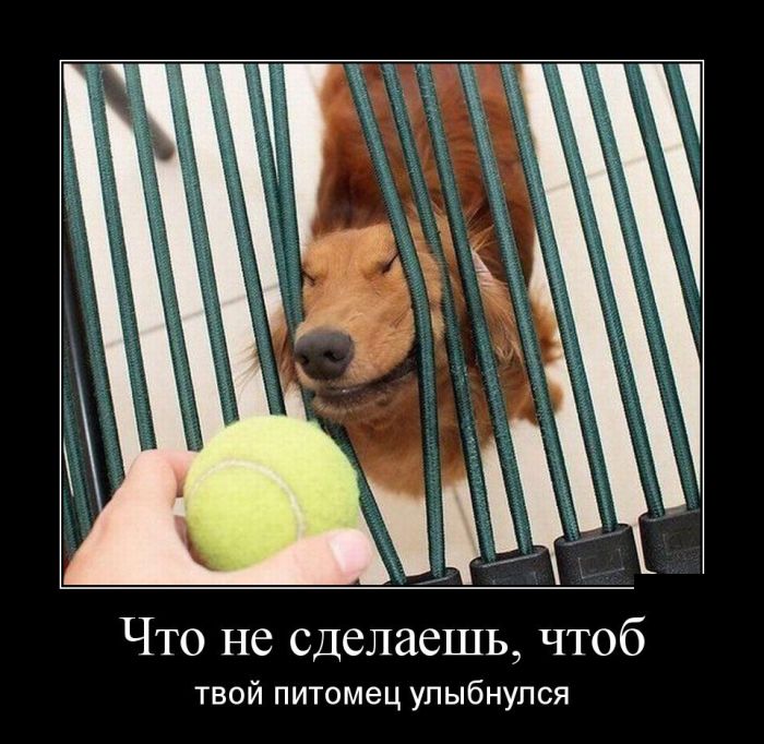 Ударим демотиватором по понедельнику