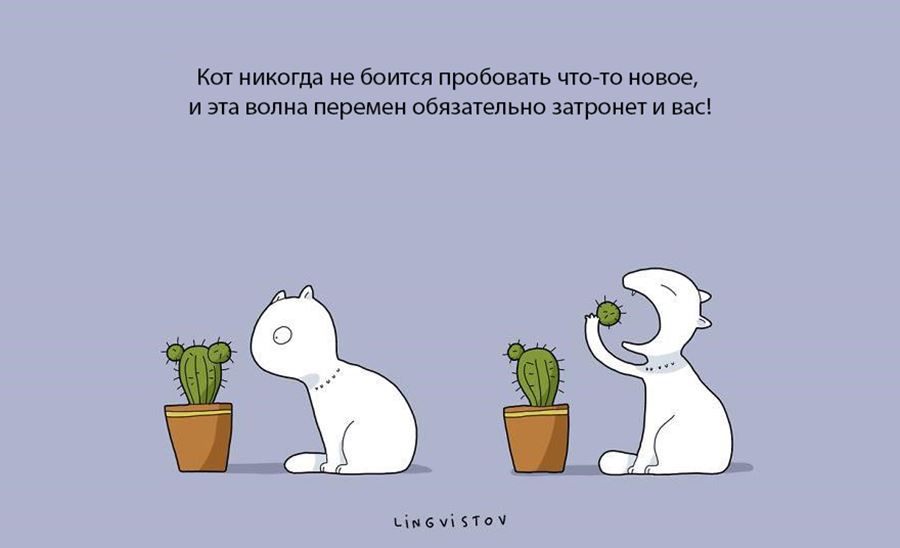 Преимущество в том, что бы завести себе кошку
