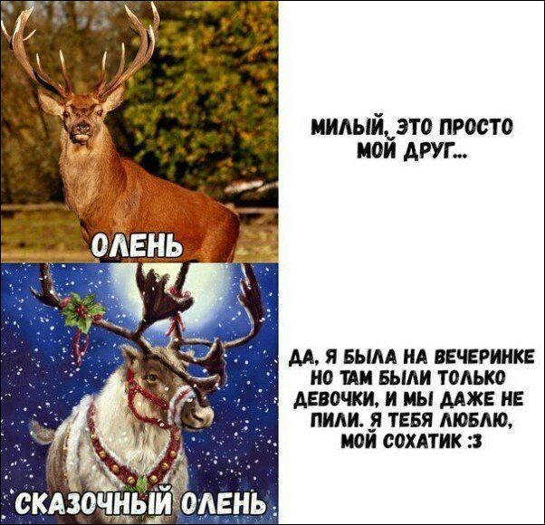 Подборка с фото приколами