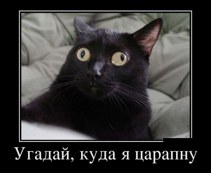 Новые и прикольные демотиваторы.
