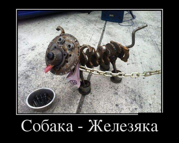 Демотиваторы приколись с новых.