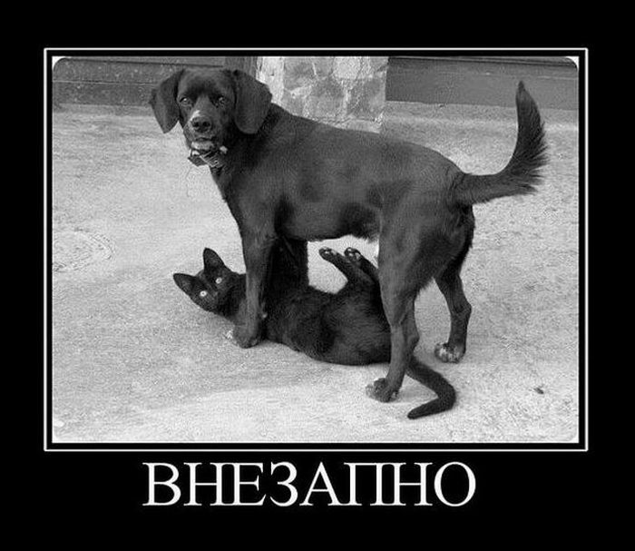Классные демотиваторы.