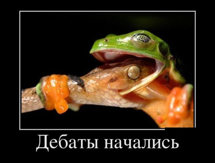 Демотиваторы смотреть нужно только новые.