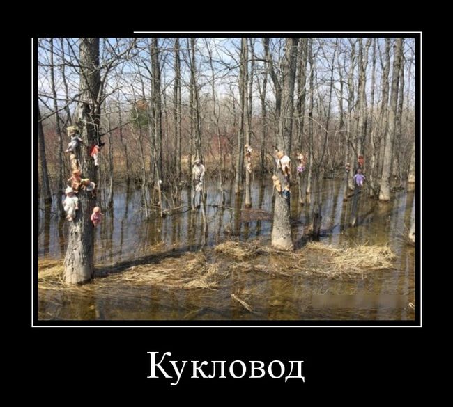 Прикольные демотиваторы для тебя.