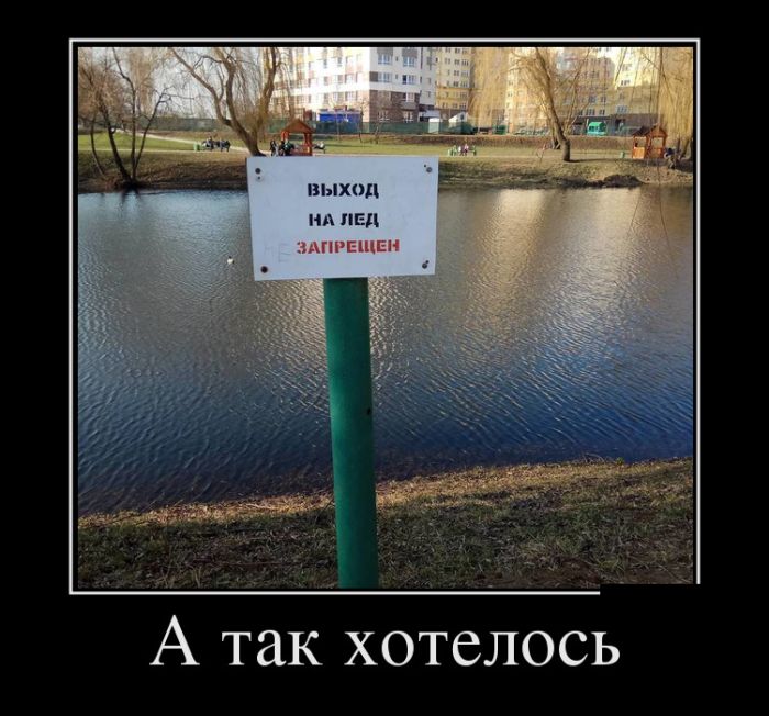 Картинки прикольные и фразы в подборке демотиваторов.