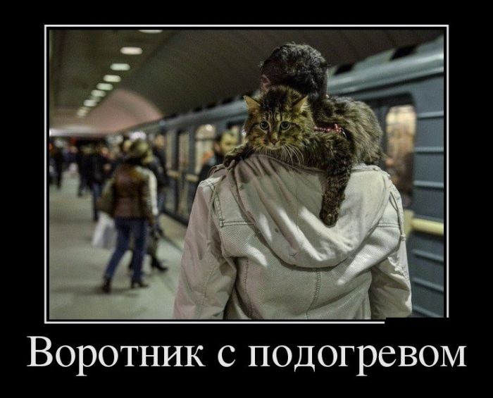 Новые и только прикольные демотиваторы дня.