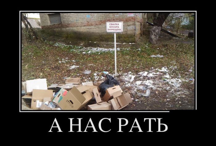 Прикольные демотиваторы сделают твой день.