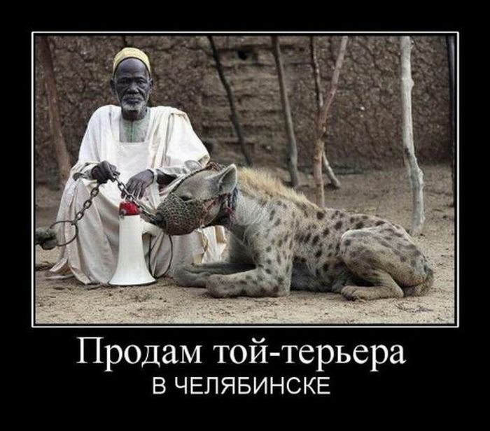 Демотиваторы про Челябинск.