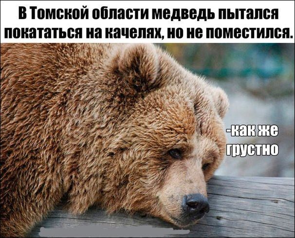Прикольные картинки (30 штук)