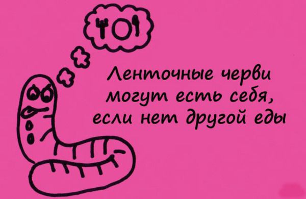 Интересные Факты.