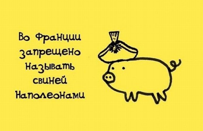 Интересные Факты, тема продолжается.