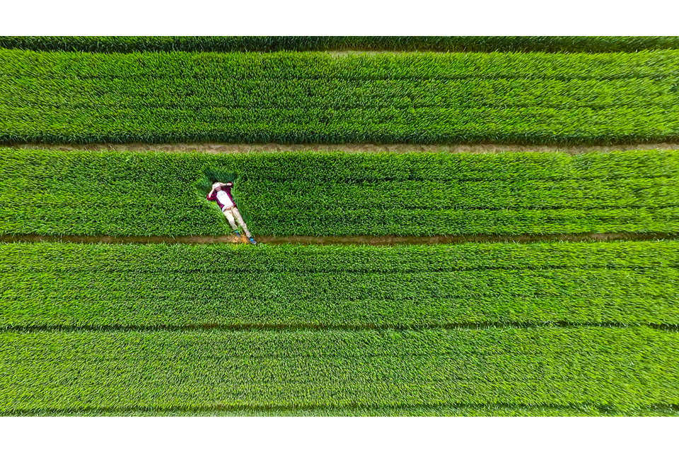 Фото сделанные дронами