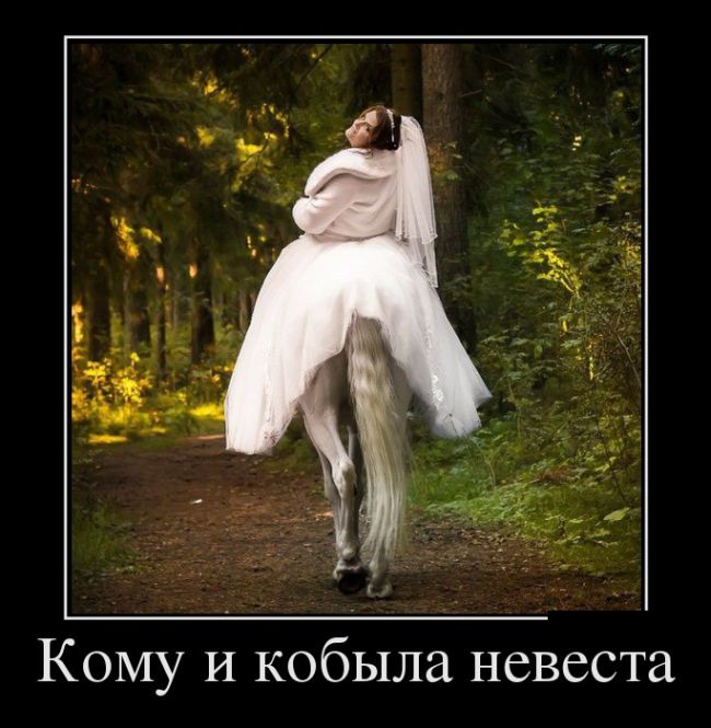 Демотиваторы с прикольными словами.