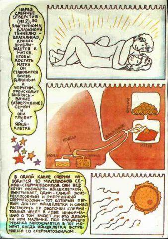 Откуда берутся дети? Китайская детская книжка