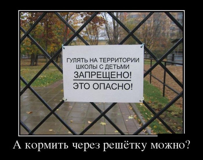 Демы прикольные на день.