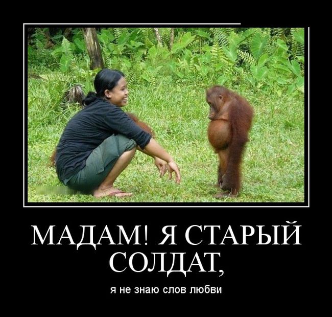 Прикольные демотиваторы, новые картинки с фразами.