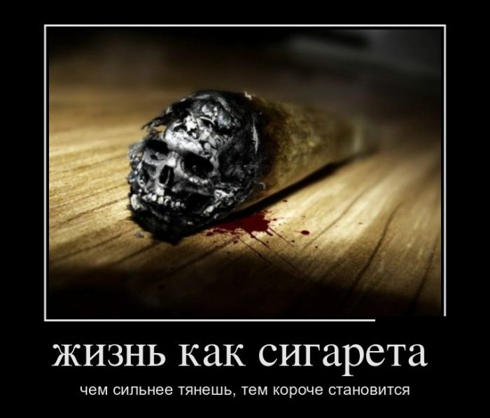 Демотиваторы, подборка новых и прикольных черных рамок.