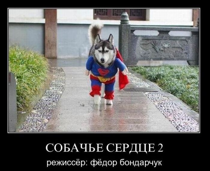 Классные демотиваторы.